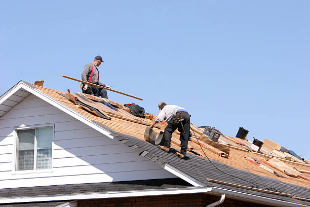 Best Roof Insulation Installation  in Woodland, WA